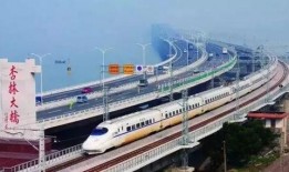 杏林大桥最新爆料消息,揭秘工程进展与神秘设计元素